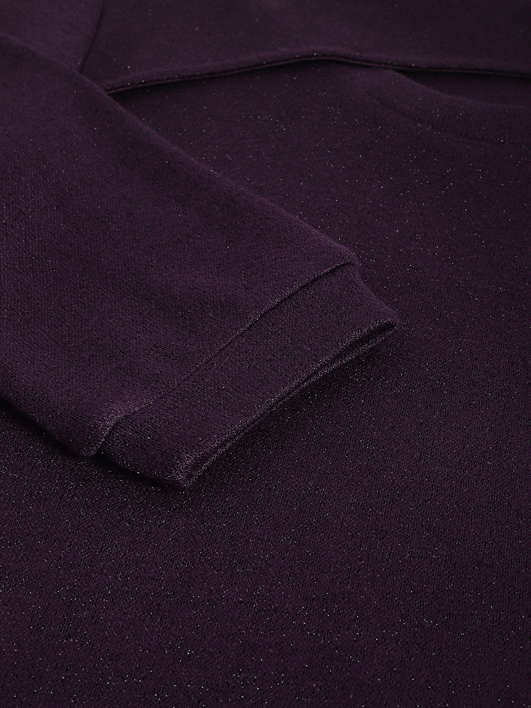 Plum Round Neck Long Sleeves Solid Top For Casual Wear
