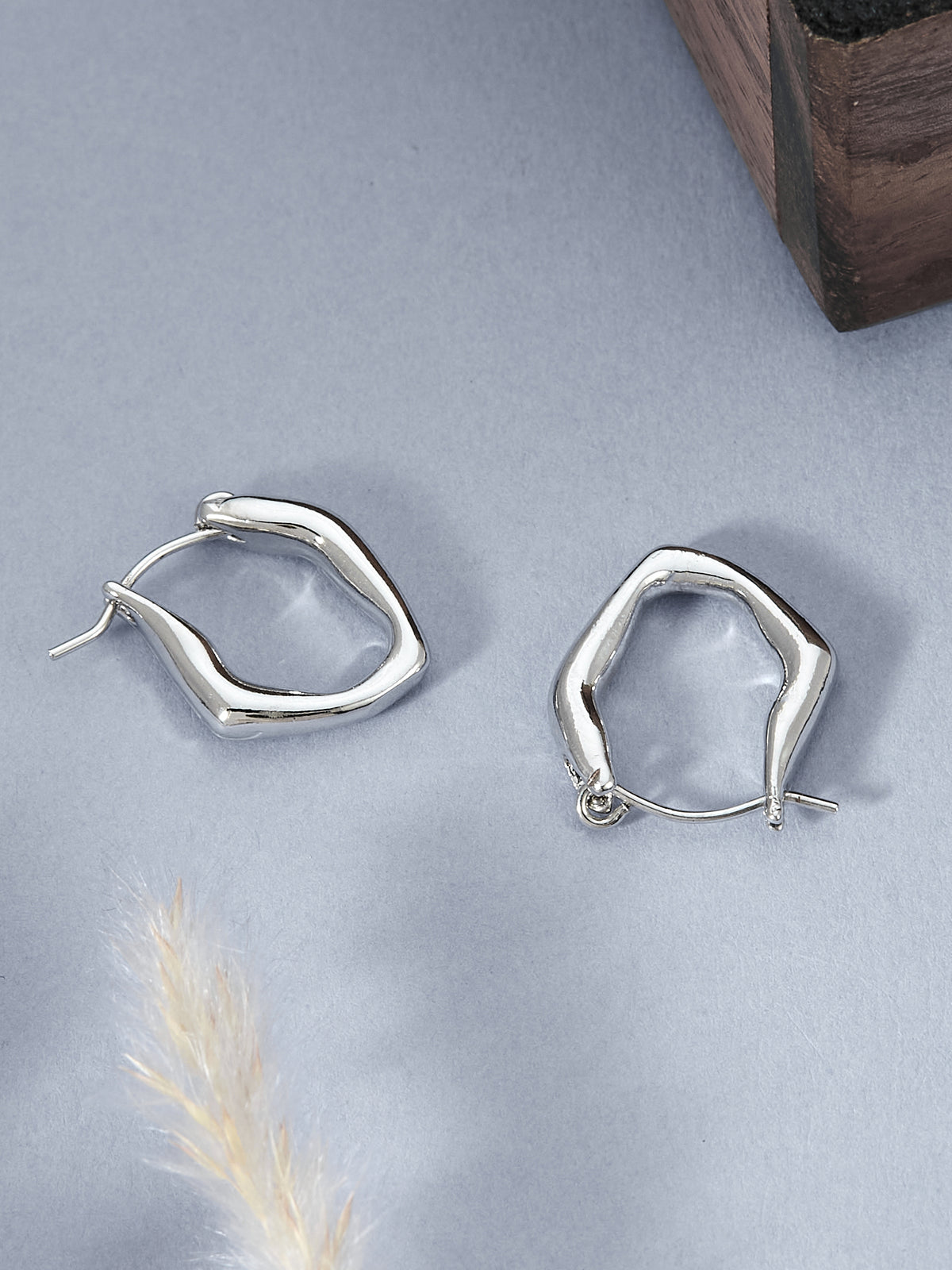 Round Silver Hoop Earrings for women & girls